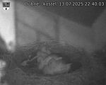 Capi_Dubne_20250713_224003.jpg