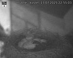 Capi_Dubne_20250713_225503.jpg