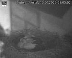 Capi_Dubne_20250713_230502.jpg
