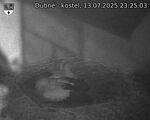 Capi_Dubne_20250713_232503.jpg