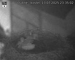 Capi_Dubne_20250713_233502.jpg