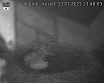 Capi_Dubne_20250713_234003.jpg