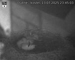 Capi_Dubne_20250713_234503.jpg