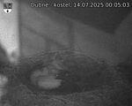 Capi_Dubne_20250714_000503.jpg
