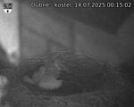 Capi_Dubne_20250714_001502.jpg