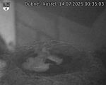 Capi_Dubne_20250714_003503.jpg