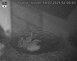 Capi_Dubne_20250714_020003.jpg