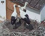Capi_Dubne_20250714_105503.jpg