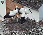 Capi_Dubne_20250714_110503.jpg