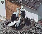 Capi_Dubne_20250714_115503.jpg