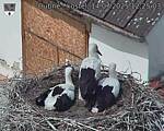 Capi_Dubne_20250714_122503.jpg