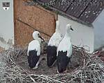 Capi_Dubne_20250714_125003.jpg