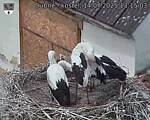 Capi_Dubne_20250714_131503.jpg
