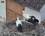 Capi_Dubne_20250714_132003.jpg