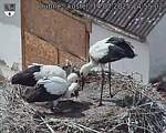 Capi_Dubne_20250714_145502.jpg