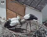 Capi_Dubne_20250714_150003.jpg