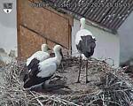 Capi_Dubne_20250714_150503.jpg