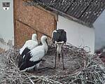Capi_Dubne_20250714_151003.jpg