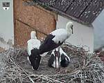 Capi_Dubne_20250714_152003.jpg