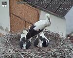 Capi_Dubne_20250714_152503.jpg