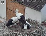 Capi_Dubne_20250714_153003.jpg