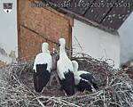 Capi_Dubne_20250714_155503.jpg