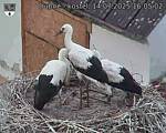 Capi_Dubne_20250714_160502.jpg