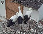 Capi_Dubne_20250714_161003.jpg