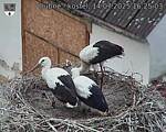 Capi_Dubne_20250714_162503.jpg
