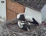 Capi_Dubne_20250714_163503.jpg