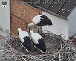 Capi_Dubne_20250714_164003.jpg
