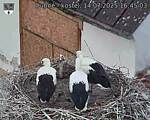 Capi_Dubne_20250714_164503.jpg