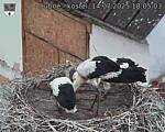 Capi_Dubne_20250714_180503.jpg