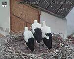 Capi_Dubne_20250714_181002.jpg