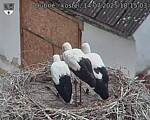 Capi_Dubne_20250714_181503.jpg