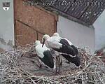 Capi_Dubne_20250714_182002.jpg