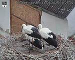 Capi_Dubne_20250714_182502.jpg