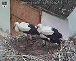 Capi_Dubne_20250714_185503.jpg