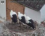 Capi_Dubne_20250714_191003.jpg