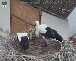 Capi_Dubne_20250714_191502.jpg