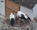 Capi_Dubne_20250714_192003.jpg