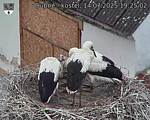 Capi_Dubne_20250714_192502.jpg