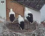 Capi_Dubne_20250714_193503.jpg
