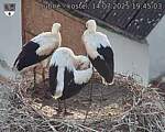 Capi_Dubne_20250714_194503.jpg