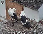 Capi_Dubne_20250714_195503.jpg