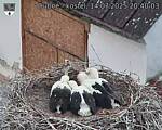 Capi_Dubne_20250714_204003.jpg