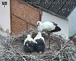 Capi_Dubne_20250714_211003.jpg