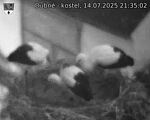 Capi_Dubne_20250714_213502.jpg