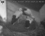 Capi_Dubne_20250714_214003.jpg