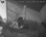Capi_Dubne_20250714_214503.jpg